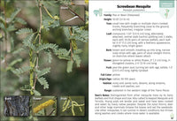 Trees of Texas Field Guide
