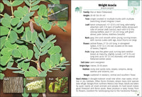 Trees of Texas Field Guide