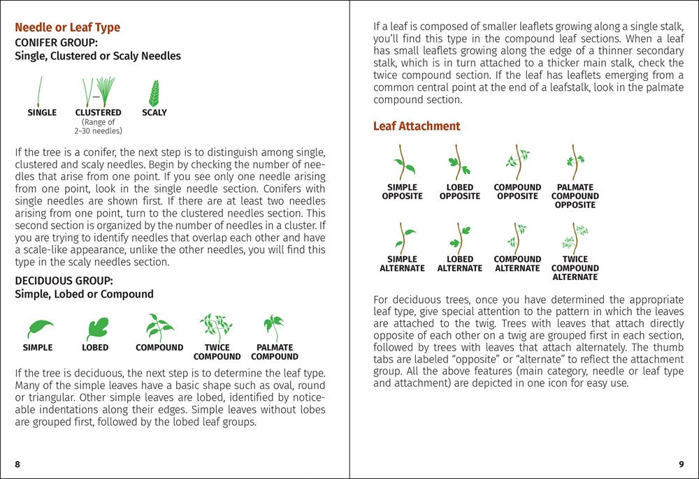 Trees of Texas Field Guide