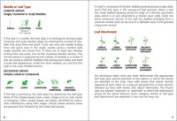 Trees of Texas Field Guide