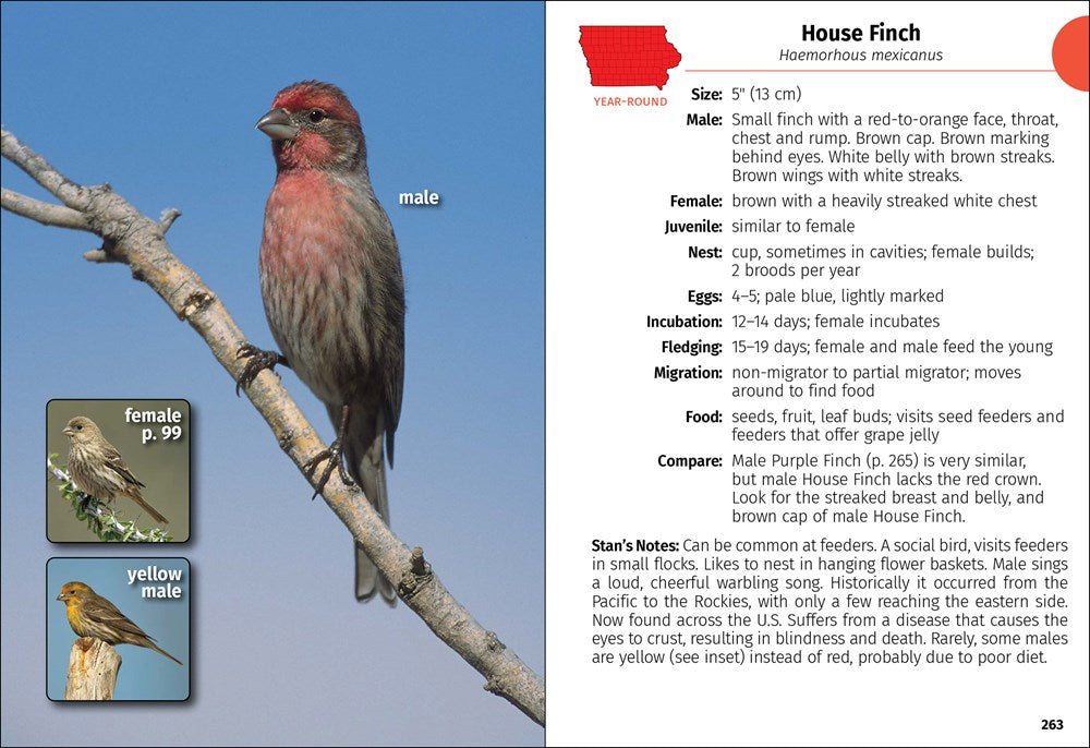 Birds of Iowa Field Guide