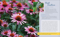 Native Plant Gardening for Birds, Bees & Butterflies: Northeast