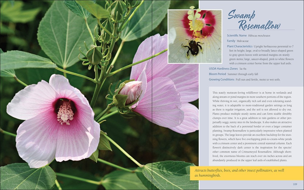 Native Plant Gardening for Birds, Bees & Butterflies: Northeast