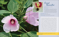 Native Plant Gardening for Birds, Bees & Butterflies: Northeast
