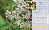 Native Plant Gardening for Birds, Bees & Butterflies: Northeast