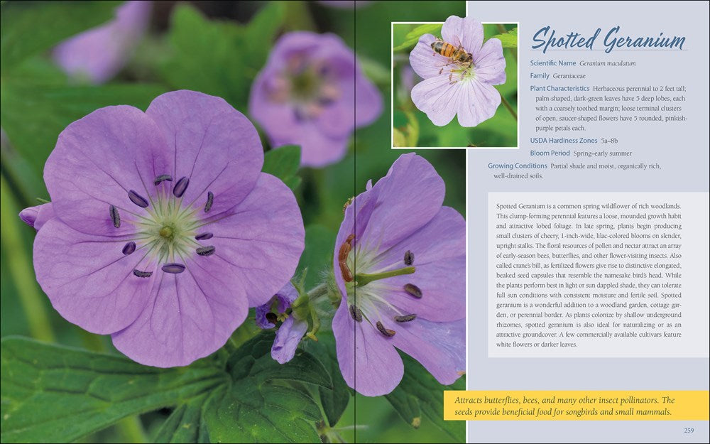 Native Plant Gardening for Birds, Bees & Butterflies: Northeast