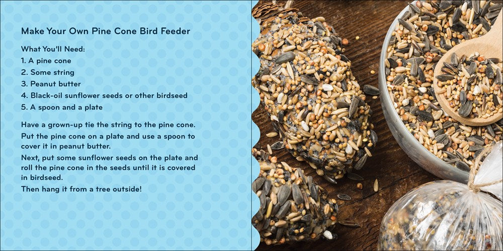 Nature Baby: Birds