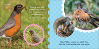 Nature Baby: Birds