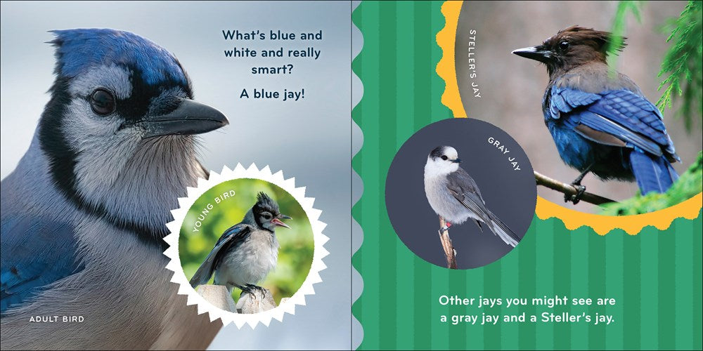 Nature Baby: Birds