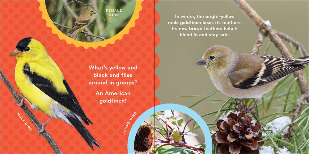 Nature Baby: Birds