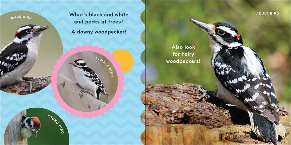 Nature Baby: Birds
