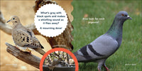Nature Baby: Birds