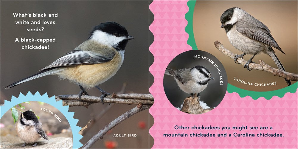 Nature Baby: Birds