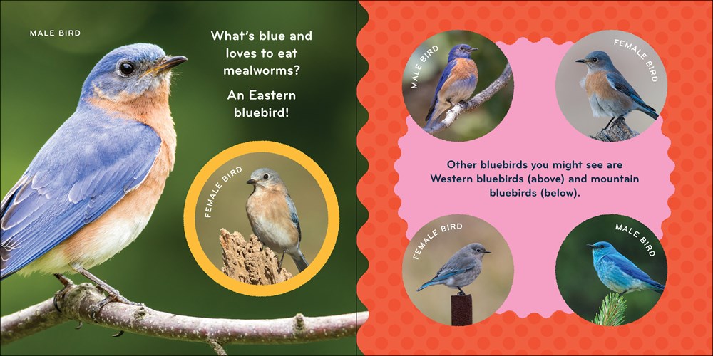 Nature Baby: Birds