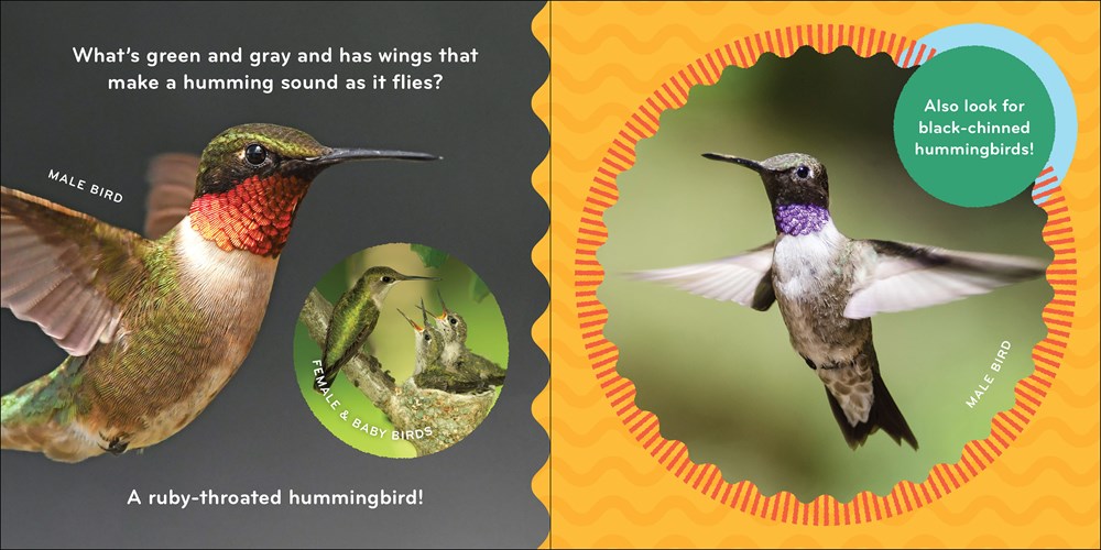 Nature Baby: Birds