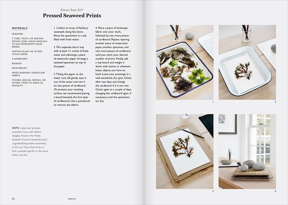 Remodelista in Maine