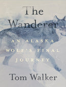 The Wanderer: An Alaska Wolf’s Final Journey