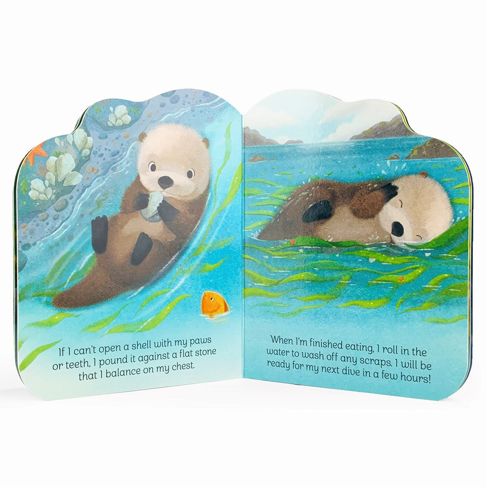 A Little Otter