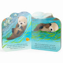 A Little Otter