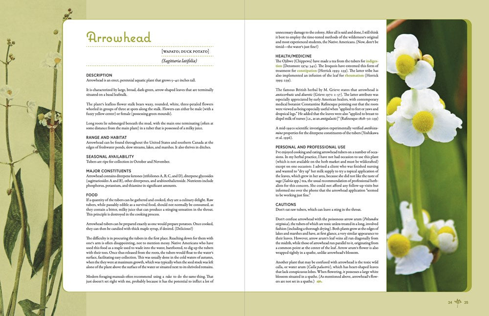 Edible and Medicinal Wild Plants of the Midwest