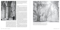 The Art of Photography