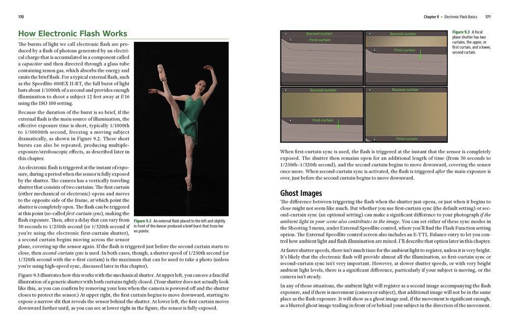 David Busch's Nikon D5600 Guide to Digital SLR Photography
