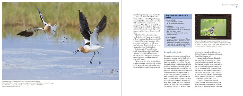 Mastering Bird Photography