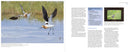Mastering Bird Photography