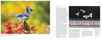 Mastering Bird Photography