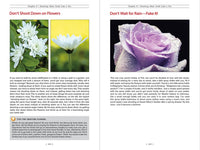 The Digital Photography Book