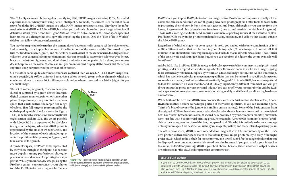 David Busch's Sony Alpha a7 IV Guide to Digital Photography