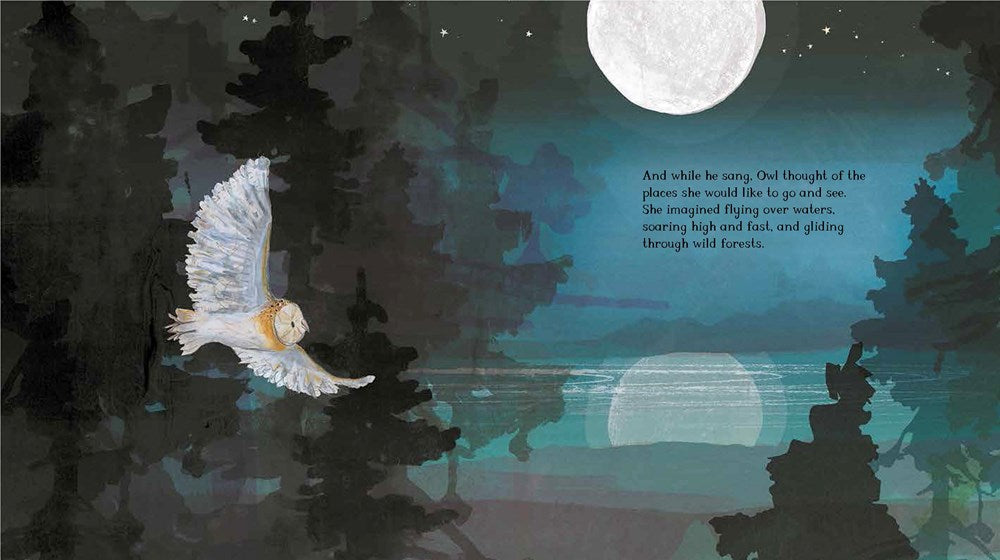 Arlo the Lion Who Couldn't Sleep