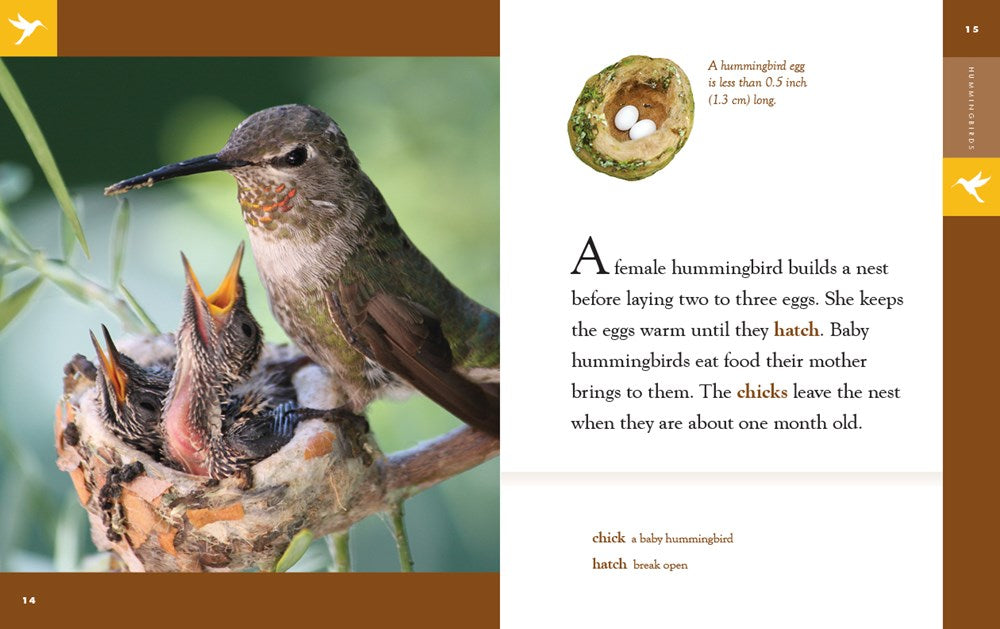 Hummingbirds