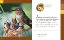 Hummingbirds
