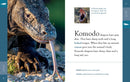 Komodo Dragons