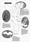 Ascendance of a Bookworm: Part 3 Volume 4 (Light Novel)