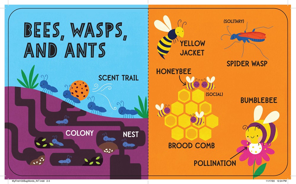 My First 100 Bug Words