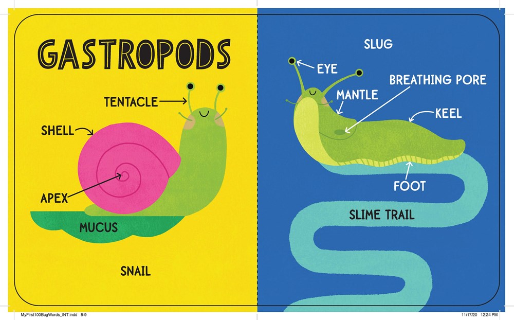 My First 100 Bug Words