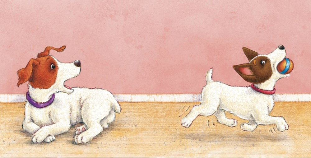 Dash and Zoom Little Miss Sneakypants