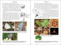 365 Days of Northern Nature