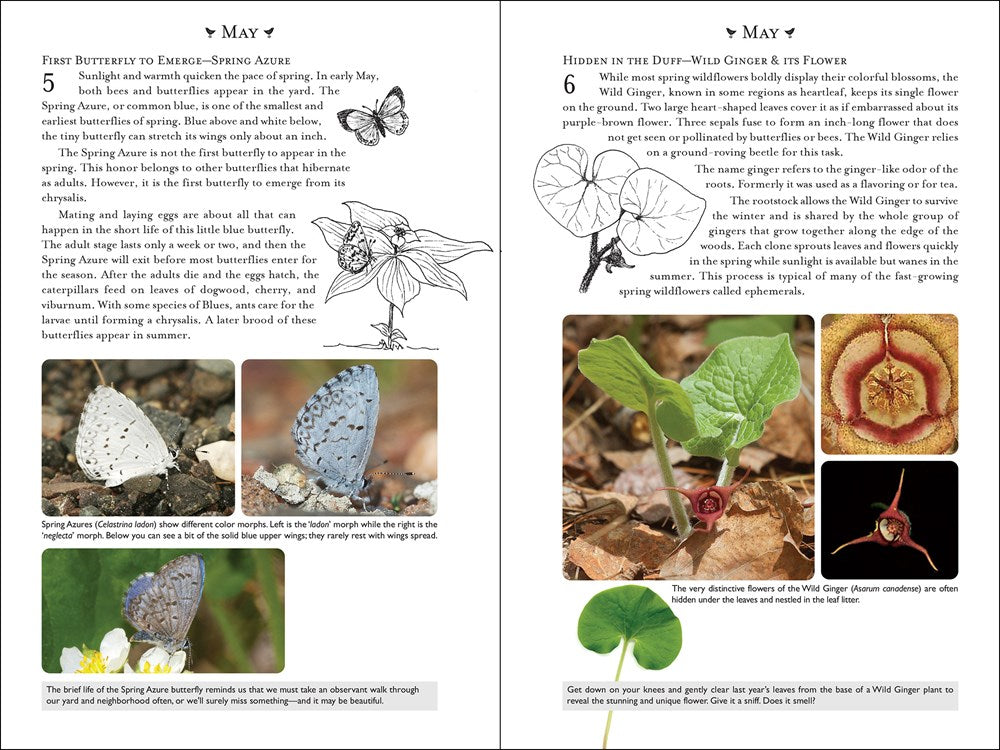 365 Days of Northern Nature