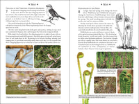 365 Days of Northern Nature