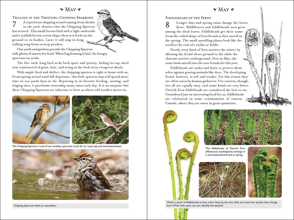 365 Days of Northern Nature