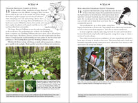 365 Days of Northern Nature