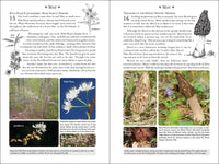 365 Days of Northern Nature