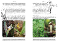 365 Days of Northern Nature