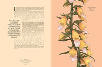 Petal