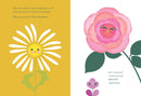 Wildflower