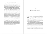 The Secret Network of Nature