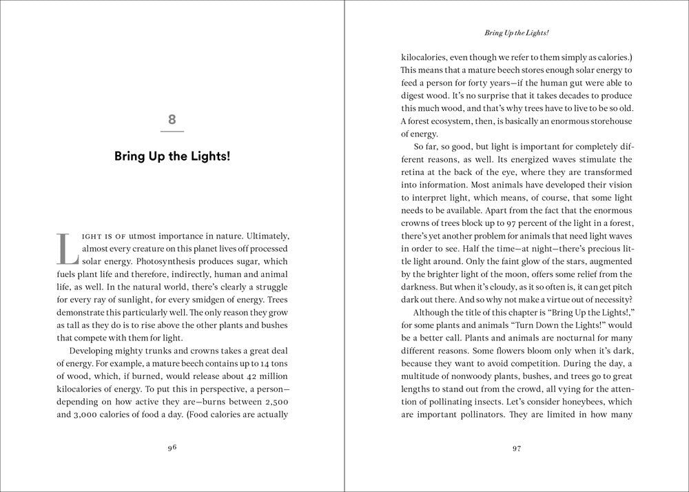 The Secret Network of Nature